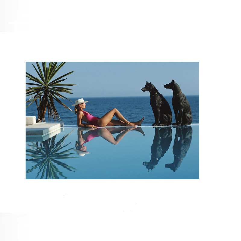 Retro Poolside Host Luxury Lif - Luxury Lifestyle Living review and price